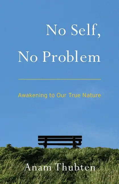 No Self, No Problem: Awakening to Our True Nature - Paperback