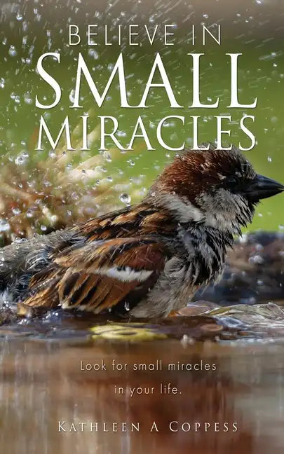 Believe in Small Miracles: Look for small miracles in your life. - Paperback