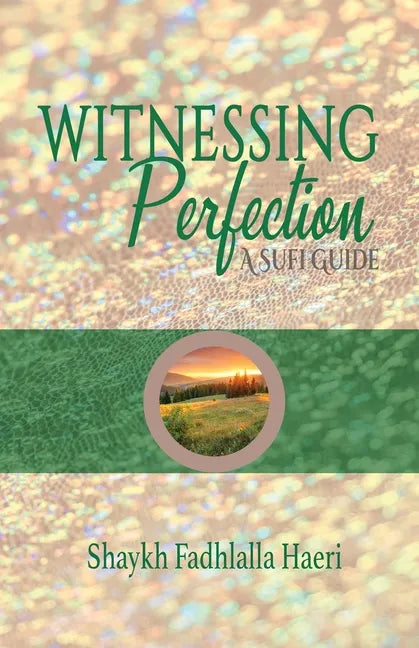 Witnessing Perfection - Paperback