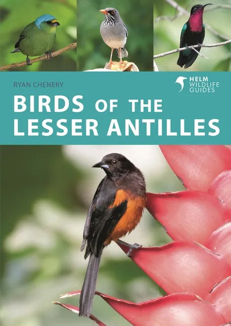 Birds of the Lesser Antilles - Paperback