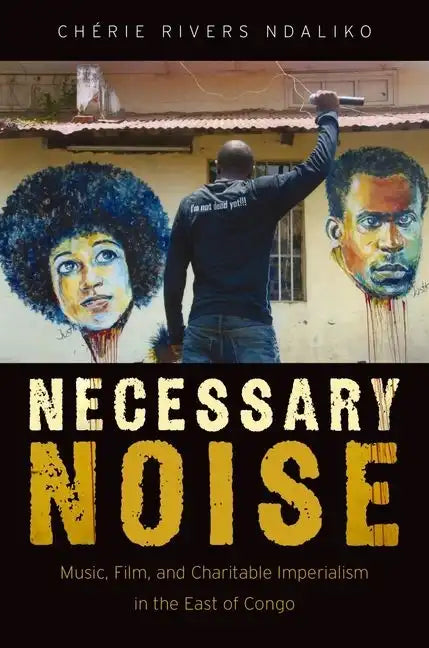 Necessary Noise: Art, Music, and Charitable Imperialism in the East of Congo - Paperback