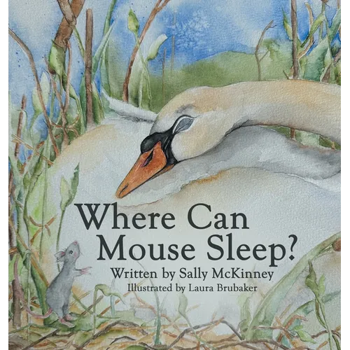 Where Can Mouse Sleep? - Hardcover
