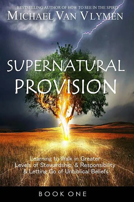 Supernatural Provision: Learning to Walk in Greater Levels of Stewardship and Responsibilty and Letting Go of Unbiblical Beliefs - Paperback