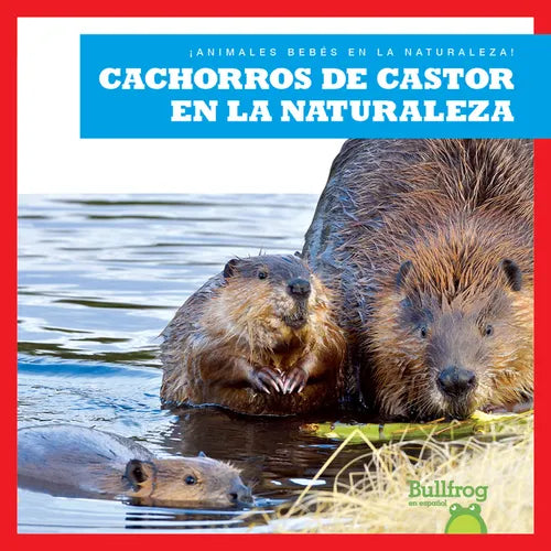 Cachorros de Castor En La Naturaleza (Beaver Kits in the Wild) - Library Binding