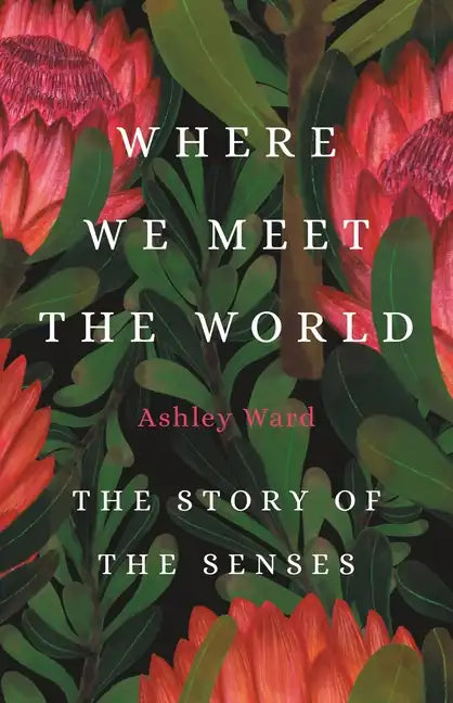 Where We Meet the World: The Story of the Senses - Hardcover