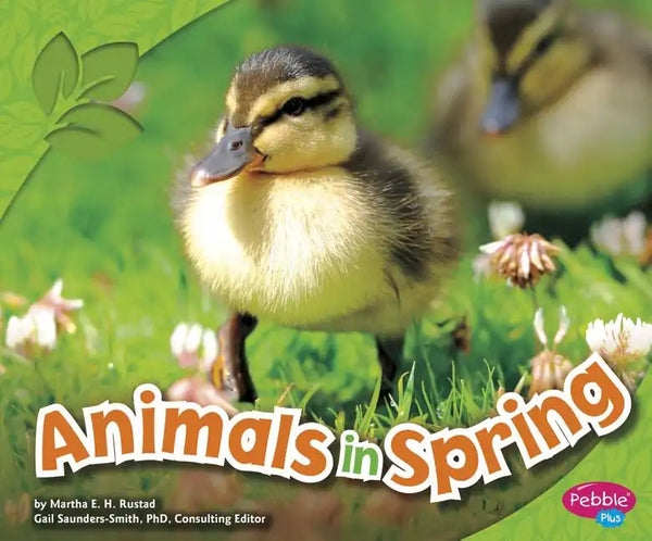 Animals in Spring - Paperback