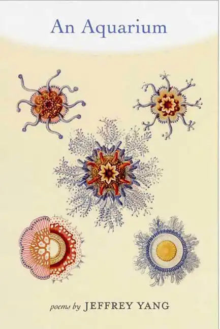 An Aquarium - Paperback
