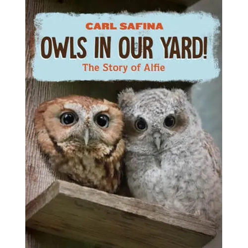 Owls in Our Yard!: The Story of Alfie - Hardcover
