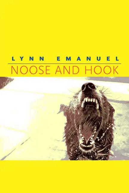 Noose and Hook - Paperback