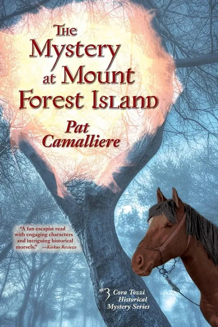 The Mystery at Mount Forest Island - Paperback