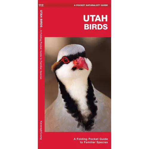 Utah Birds: A Folding Pocket Guide to Familiar Species