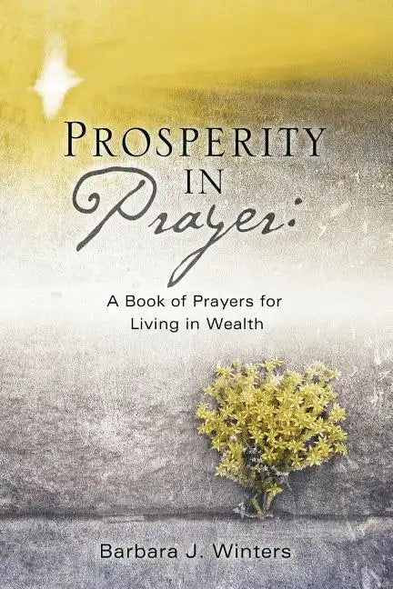 Prosperity in Prayer - Paperback