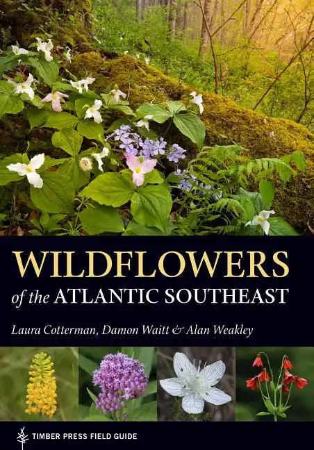 Wildflowers of the Atlantic Southeast - Paperback