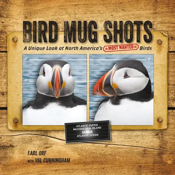 Bird Mug Shots: A Unique Look at North America's Most Wanted Birds - Paperback
