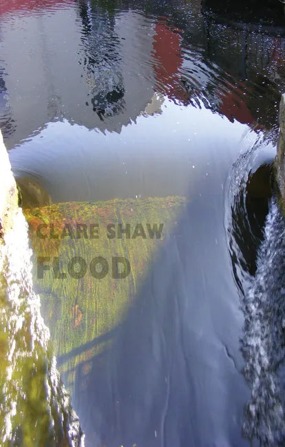 Flood - Paperback