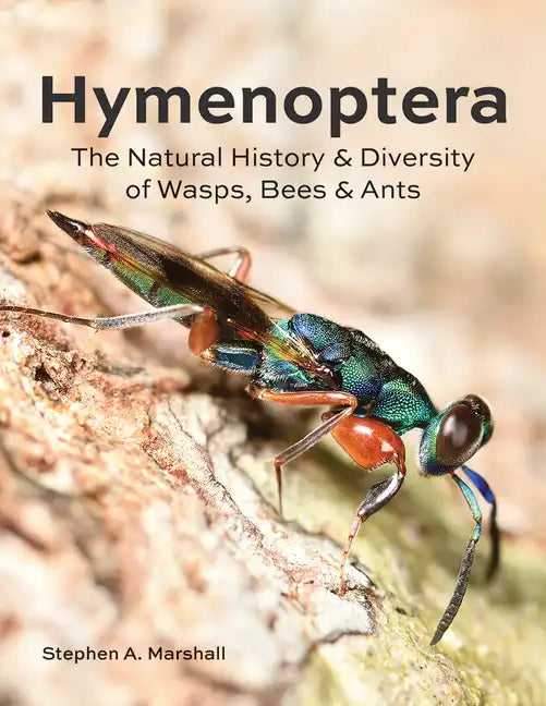 Hymenoptera: The Natural History and Diversity of Wasps, Bees and Ants - Hardcover