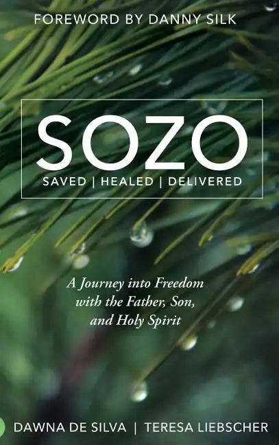 SOZO Saved Healed Delivered: A Journey into Freedom with the Father, Son, and Holy Spirit - Hardcover