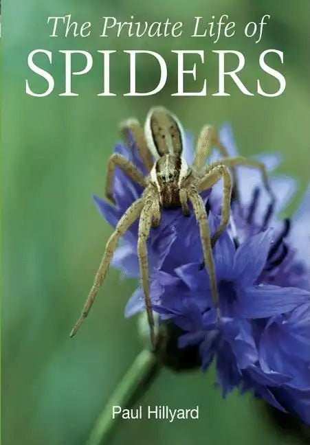 The Private Life of Spiders - Paperback