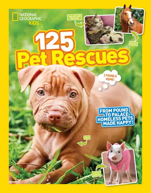 125 Pet Rescues: From Pound to Palace: Homeless Pets Made Happy - Paperback