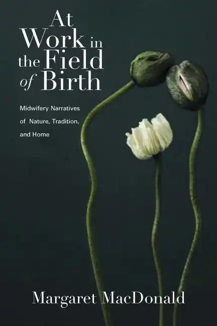 At Work in the Field of Birth: Midwifery Narratives of Nature, Tradition, and Home - Paperback