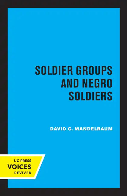 Soldier Groups and Negro Soldiers - Paperback