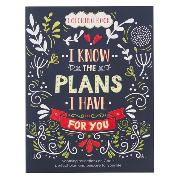 Coloring Book I Know the Plans - Paperback