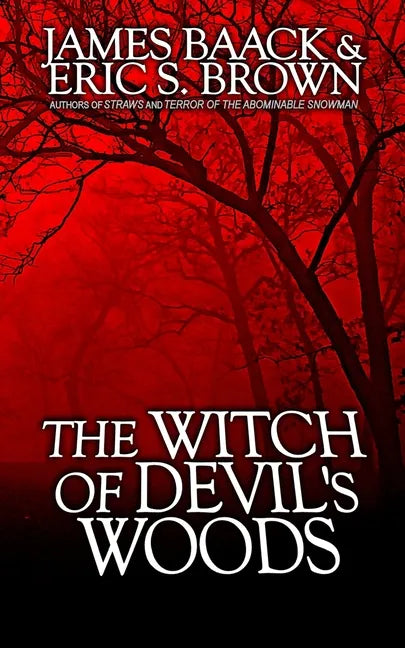 The Witch of Devil's Woods - Paperback