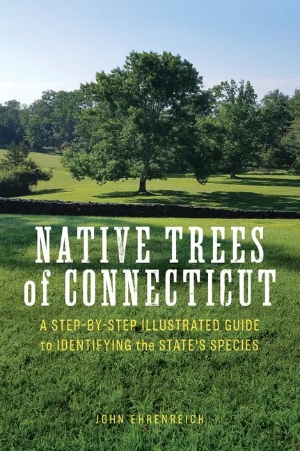 Native Trees of Connecticut: A Step-By-Step Illustrated Guide to Identifying the State's Species - Paperback