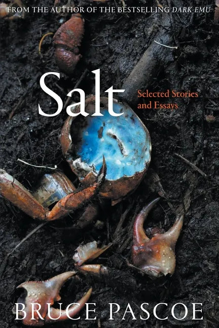 Salt: Selected Stories and Essays - Paperback