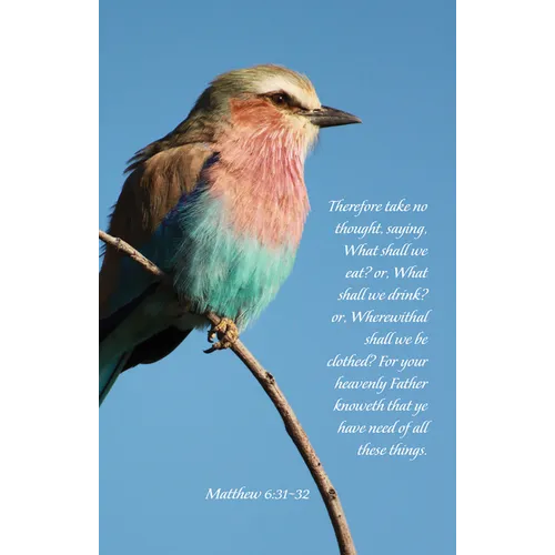 General Worship Bulletin: Your Heavenly Father Knoweth (Package of 100): Matthew 6:31-32 (Kjv) - Paperback