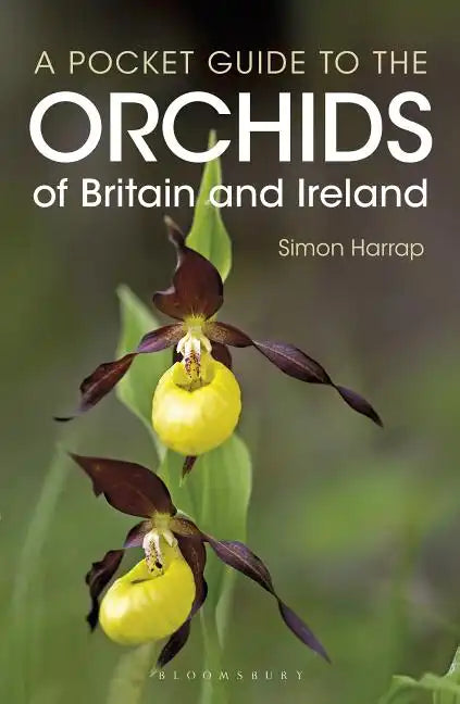 Pocket Guide to the Orchids of Britain and Ireland - Paperback
