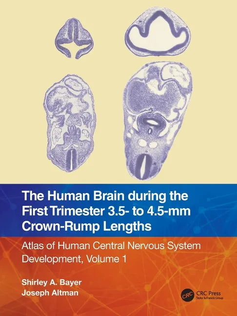 The Human Brain During the First Trimester 3.5- To 4.5-MM Crown-Rump Lengths: Atlas of Human Central Nervous System Development, Volume 1 - Paperback