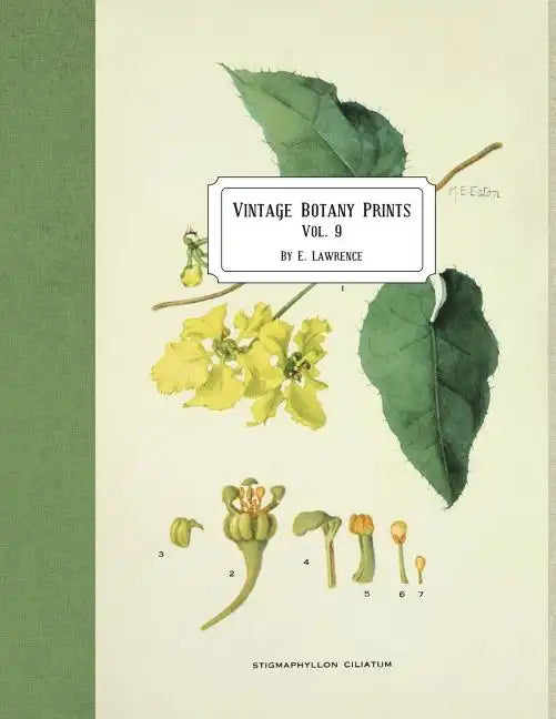 Vintage Botany Prints: Vol. 9 - Paperback