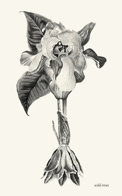 wild irises - Paperback