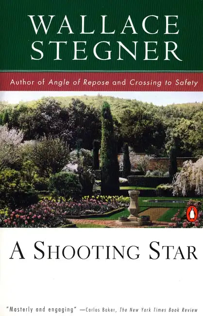 A Shooting Star - Paperback