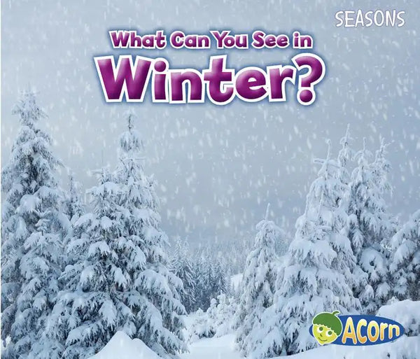 What Can You See in Winter? - Paperback