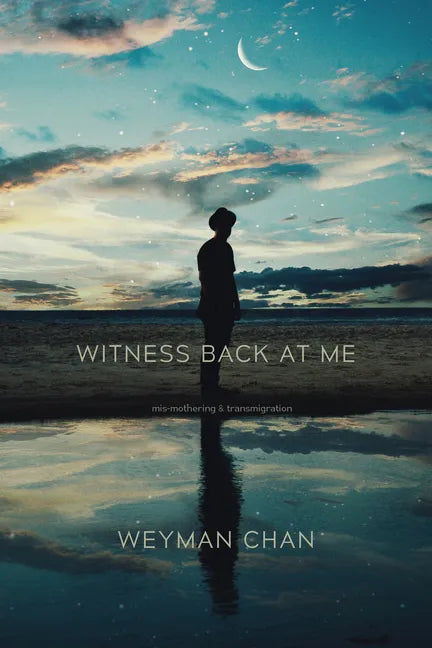 Witness Back at Me: Mis-Mothering & Transmigration - Paperback