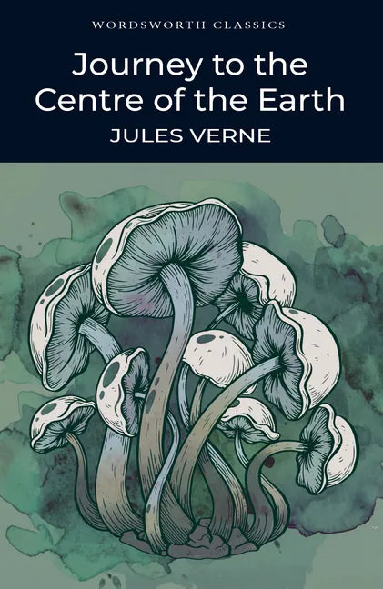 Journey to the Centre of the Earth - Paperback