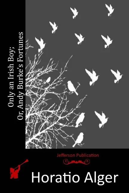 Only an Irish Boy; Or, Andy Burke's Fortunes - Paperback