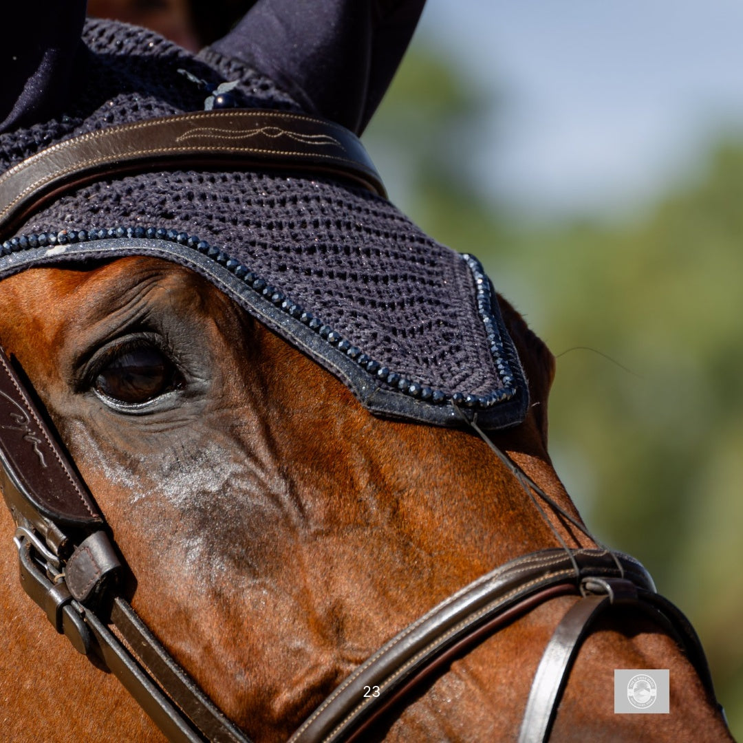 Hearts in the Saddle