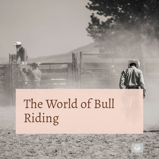 The World of Bull Riding