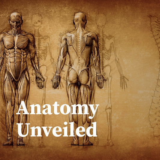 Anatomy Unveiled