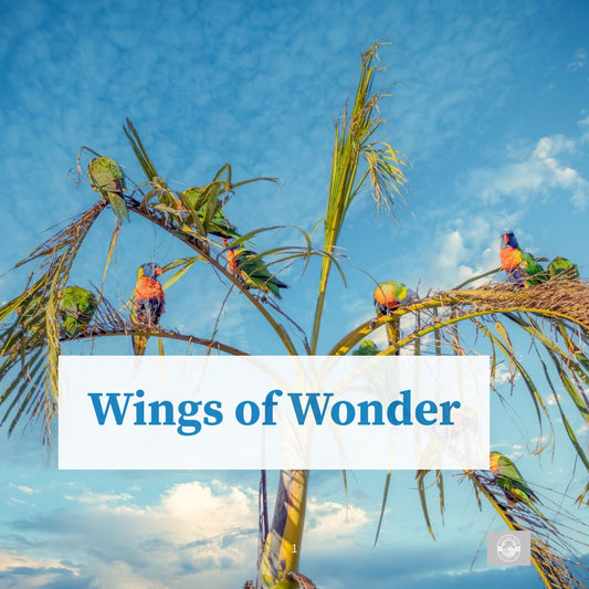 Wings of Wonder