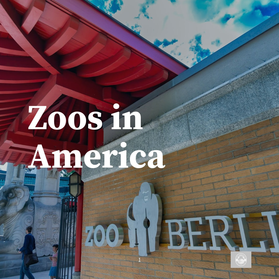 Zoos in America