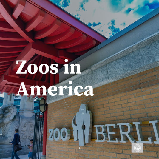 Zoos in America