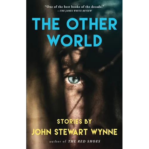 The Other World: Stories by John Stewart Wynne - Paperback