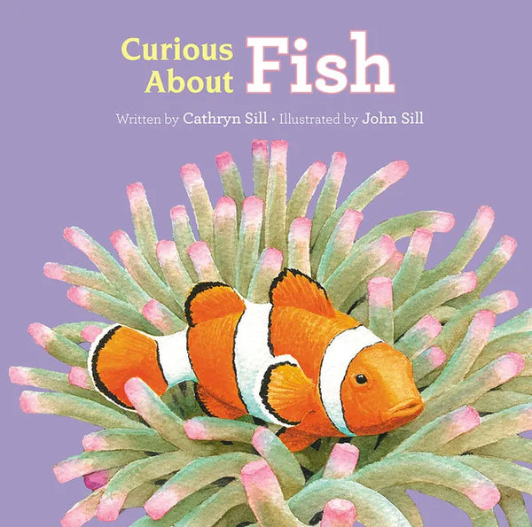 Curious about Fish - Board Book