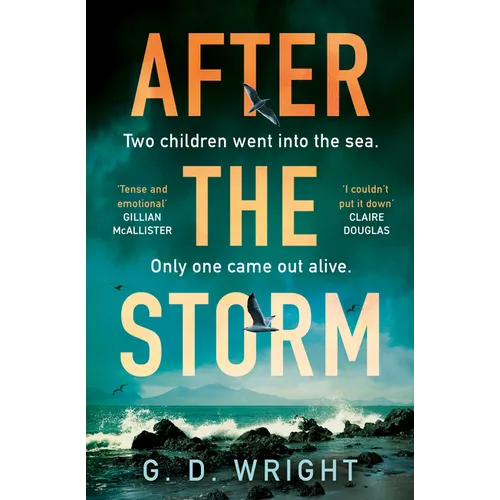 After the Storm - Paperback