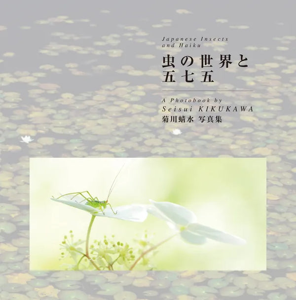 Japanese Insects and Haiku - Paperback