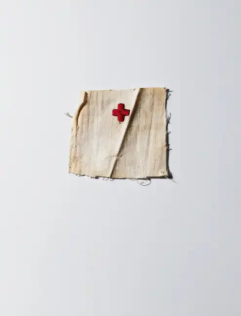 Henry Leutwyler: International Red Cross & Red Crescent Museum - Hardcover